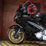 Мотоцикл Yamaha FJR 1300 AS 20th Anniversary Edition с пробегом 8368 км