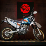 Мотоцикл Yamaha TTR 250 RAID Стан нового з пробігом 26350 км