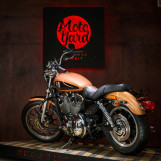 Мотоцикл Harley-Davidson XL1200 Sportster Юбилейная версия (245/2000шт) с пробегом 16488 км