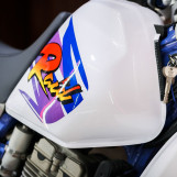 Мотоцикл Yamaha TTR 250 RAID с пробегом 28432 км