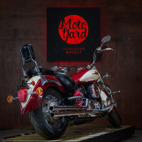 Мотоцикл Yamaha Drag Star 1100 с пробегом 21327 миль