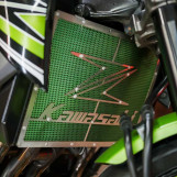 Мотоцикл Kawasaki Z800 з пробігом 12702 км