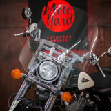 Мотоцикл Honda Shadow 750 с пробегом 46445 км