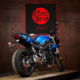 Мотоцикл Triumph Street Triple 675 ABS с пробегом 17521км