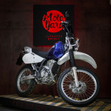 Мотоцикл Suzuki DJEBEL 250XC з пробігом 16744 км