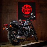 Мотоцикл Kawasaki W800 Chrome Edition Состояние нового Инжектор с пробегом 24192 км