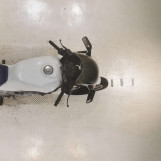 Мотоцикл Honda VT250FE с пробегом 56145 km