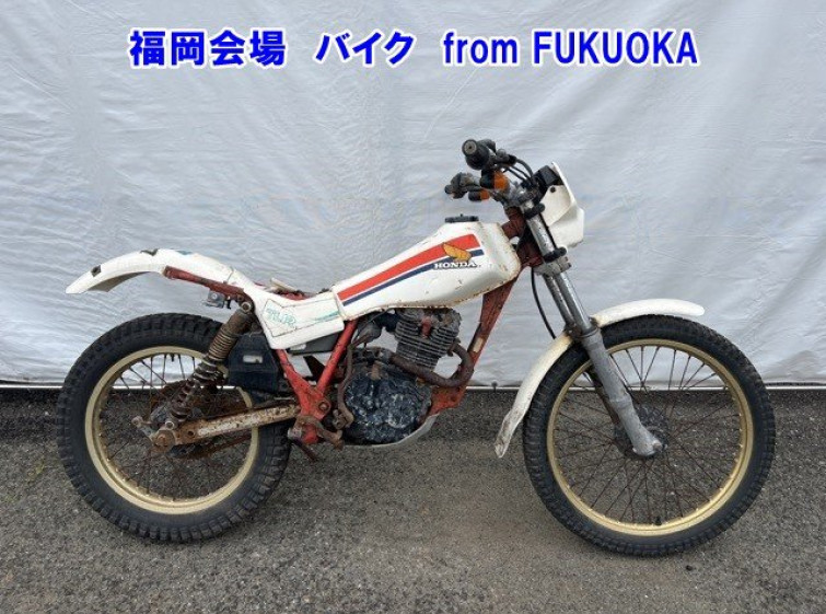 Мотоцикл Honda TLR200 з пробігом 7878 km