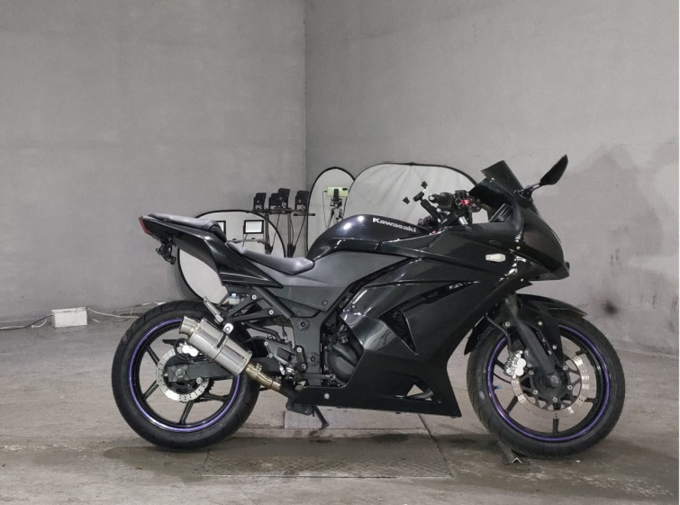 Мотоцикл Kawasaki NINJA250R з пробігом 16922 km
