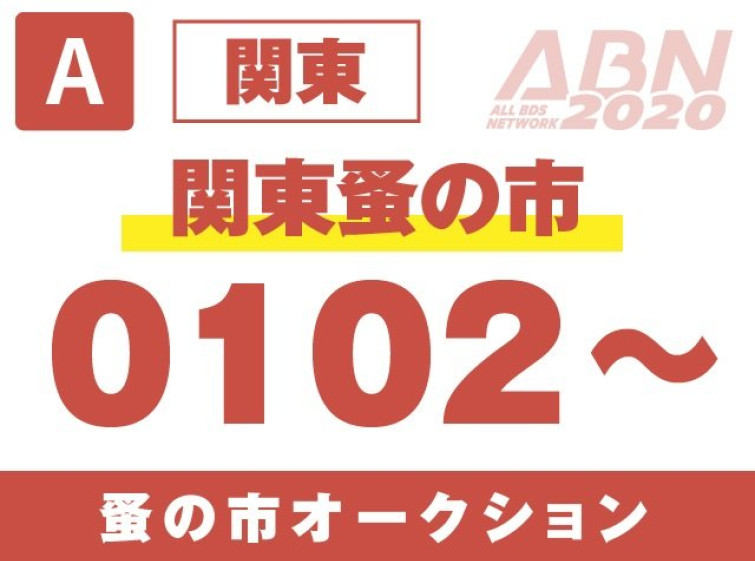 Мотоцикл Bimota NOTICE