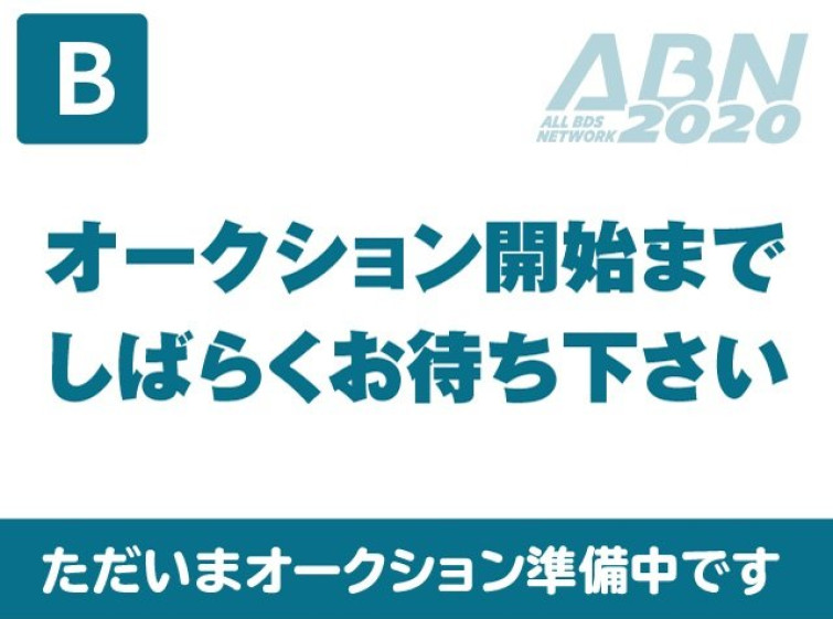 Мотоцикл Bimota NOTICE