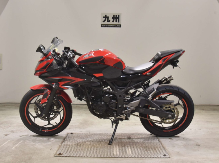 Мотоцикл Kawasaki NINJA250 с пробегом 79590 km