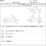 Мотоцикл Honda PS250 BIG RUCKUS с пробегом 37847 km