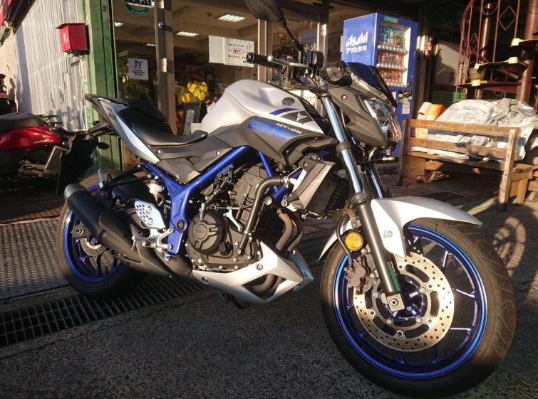 Мотоцикл Yamaha MT-25 с пробегом 14098 km