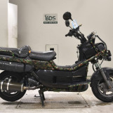 Мотоцикл Honda PS250 BIG RUCKUS с пробегом 29999 km