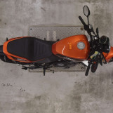 Мотоцикл HD X350 с пробегом 3633 km