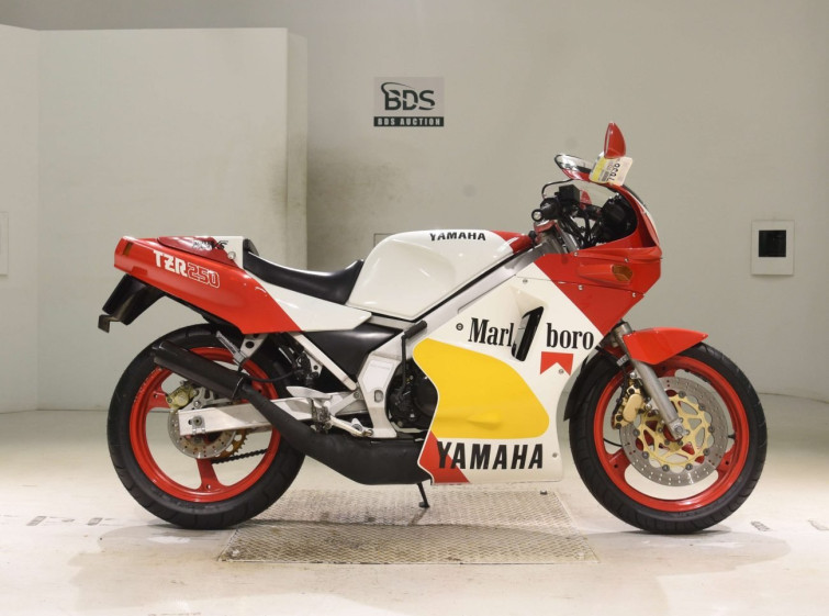 Мотоцикл Yamaha TZR250 з пробігом 2497 km