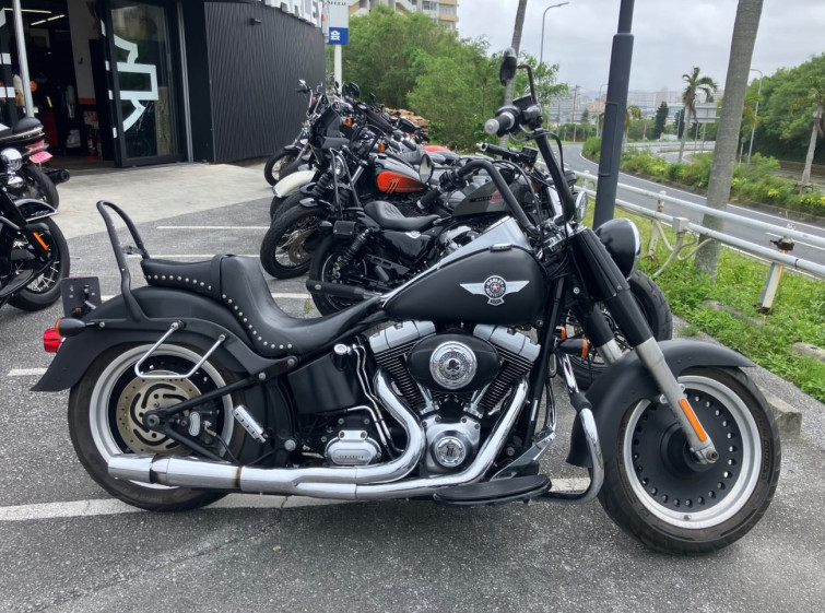 Мотоцикл HD FATBOY FLSTFB1580 з пробігом 36038 km