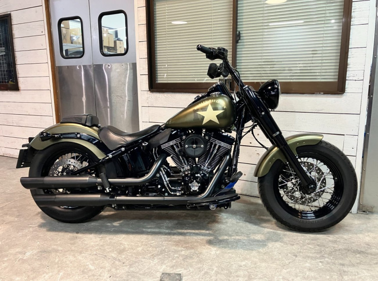 Мотоцикл HD SLIM S FLSS1800 з пробігом 65331 km