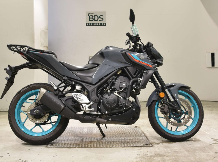 Мотоцикл Yamaha MT-25 з пробігом 24354 km