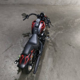 Мотоцикл HD SOFTAIL FXSTC1580 з пробігом 3727 km