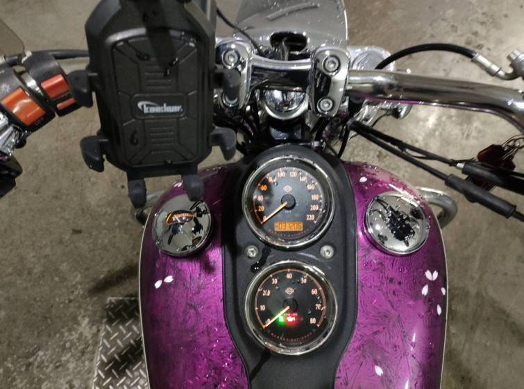 Мотоцикл HD LOW RIDER FXDL1580 с пробегом 31206 km