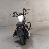 Мотоцикл HD SPORTSTER FORTY-EIGHT XL1200XS з пробігом 3050 km