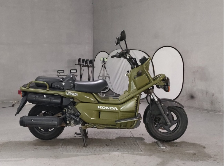 Мотоцикл Honda PS250 BIG RUCKUS с пробегом 4981 km