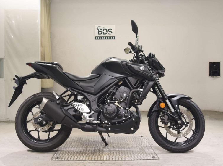 Мотоцикл Yamaha MT-25 з пробігом 2491 km