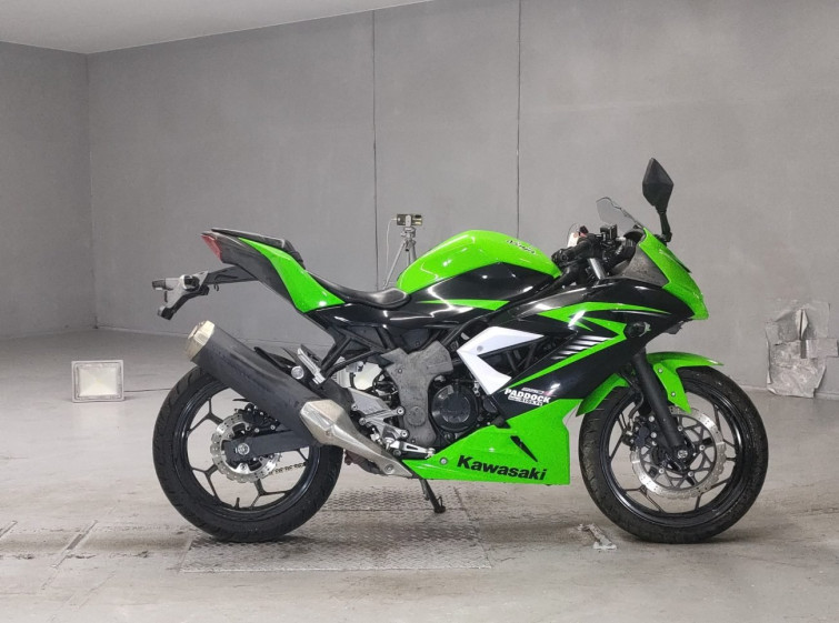 Мотоцикл Kawasaki NINJA250 с пробегом 21151 km
