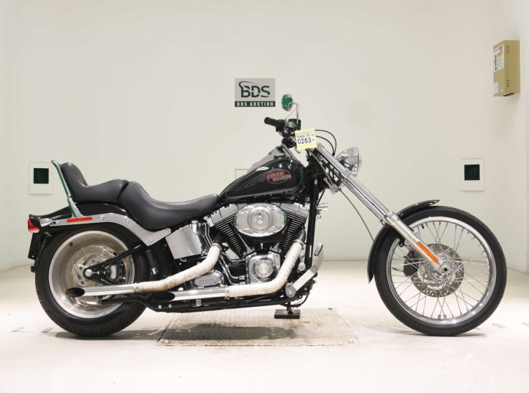 Мотоцикл HD SOFTAIL FXSTC1580 з пробігом 7430 km
