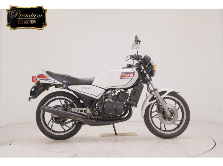 Мотоцикл Yamaha RZ250 з пробігом 19930 km