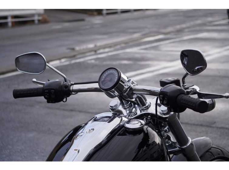 Мотоцикл HD ﾊｰﾚｰFXBR з пробігом 11 km