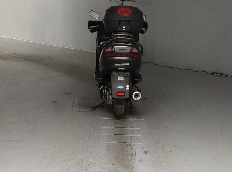 Мотоцикл Kawasaki EPSILON250 з пробігом 36187 km