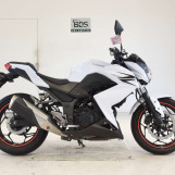 Мотоцикл Suzuki GSX250FX з пробігом 51038 km