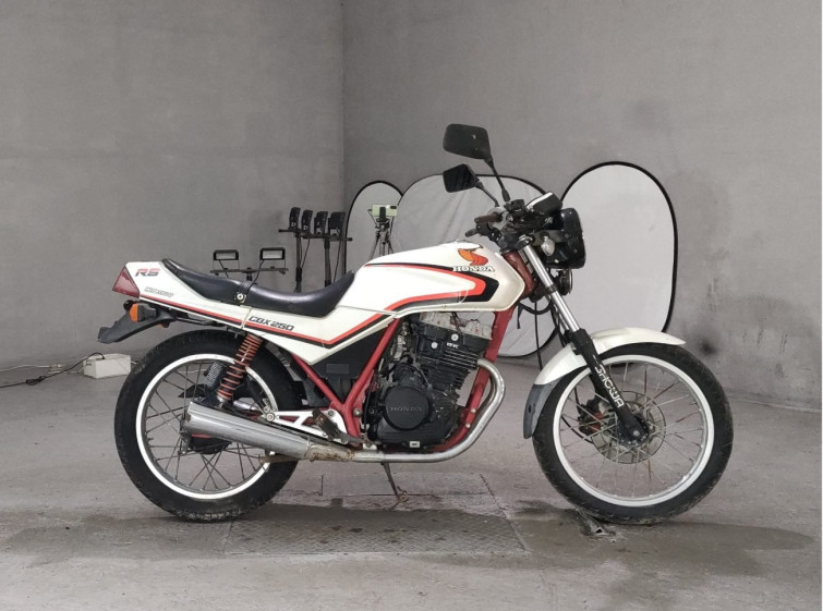 Мотоцикл Honda CBX250RS з пробігом 6476 km