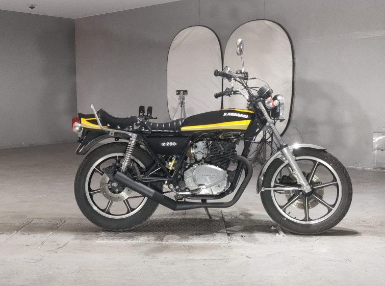 Мотоцикл Kawasaki Z250FT с пробегом 29895 km