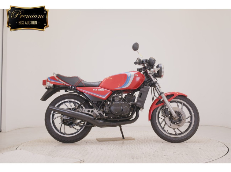 Мотоцикл Yamaha RZ250 з пробігом 8226 km