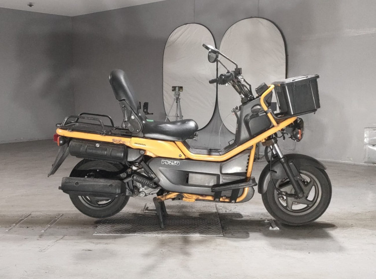Мотоцикл Honda PS250 BIG RUCKUS с пробегом 51049 km