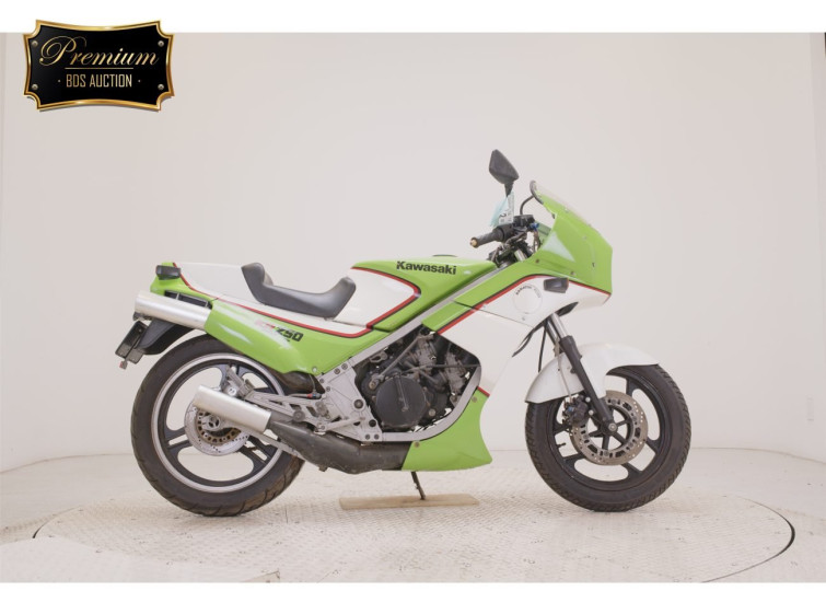 Мотоцикл Kawasaki KR250 з пробігом 18509 km