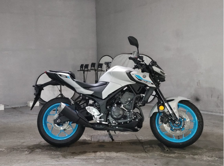 Мотоцикл Yamaha MT-25 з пробігом 226 km