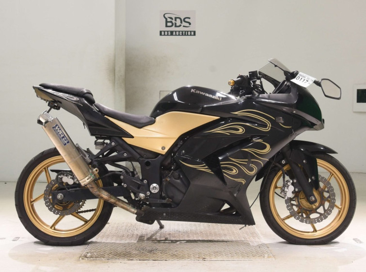 Мотоцикл Kawasaki NINJA250R з пробігом 39066 km