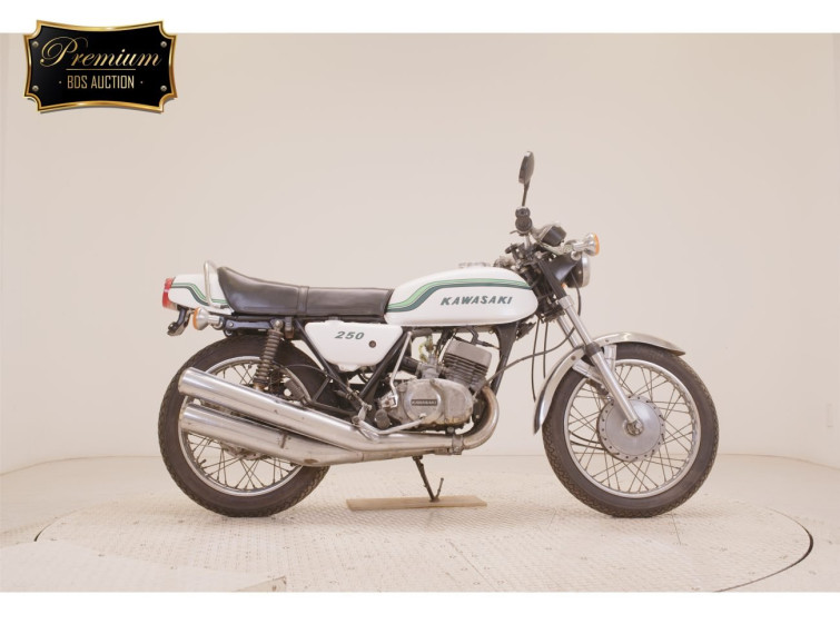 Мотоцикл Kawasaki 250SS з пробігом 9323 km