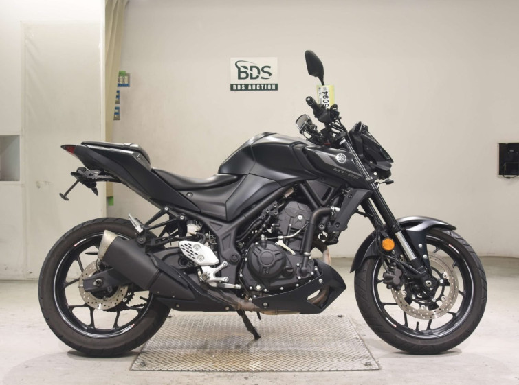Мотоцикл Yamaha MT-25 з пробігом 22799 km