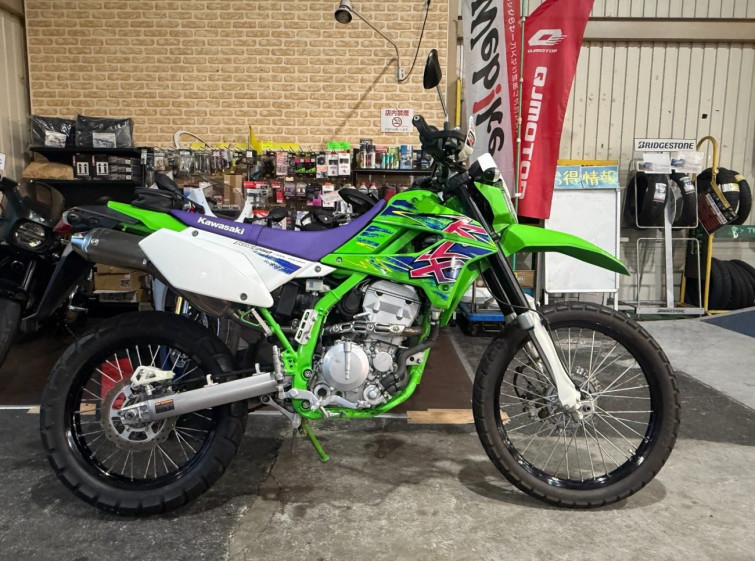 Мотоцикл Kawasaki KLX250 з пробігом 8361 km