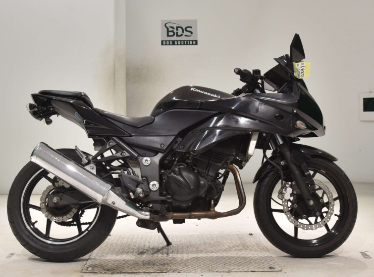 Мотоцикл Kawasaki NINJA250R с пробегом 26282 km