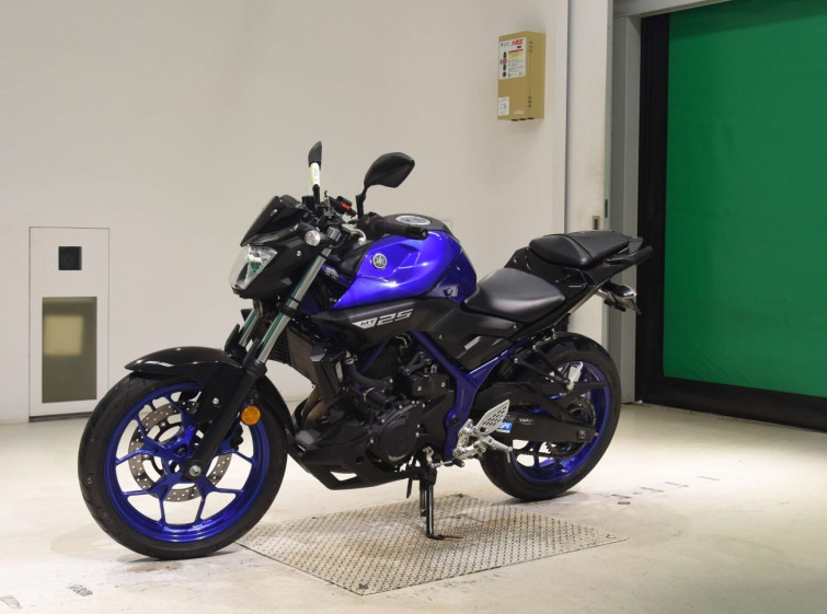 Мотоцикл Yamaha MT-25 с пробегом 22245 km