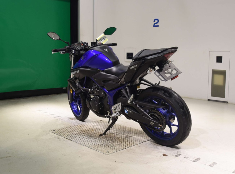 Мотоцикл Yamaha MT-25 с пробегом 22245 km