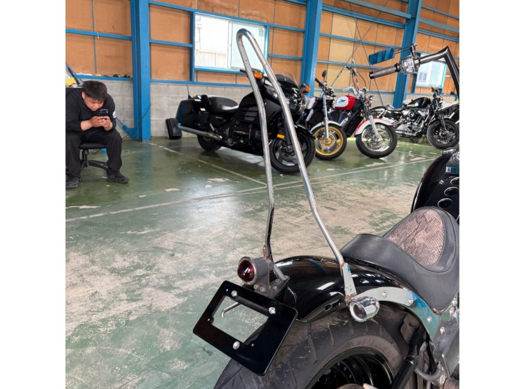 Мотоцикл HD FATBOY FLSTF з пробігом 39356 km