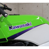Мотоцикл Kawasaki GPZ900R з пробігом 54374 km